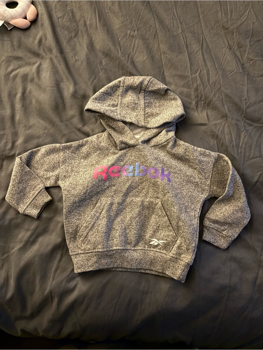 Reebok Kids' Gray Hoodie with Gradient Logo